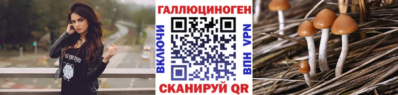 Псилоцибиновые грибы GOLDEN TEACHER  Краснотурьинск 